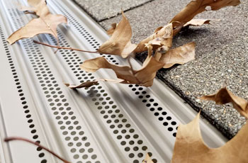 Leaf Stopper Gutter Guard